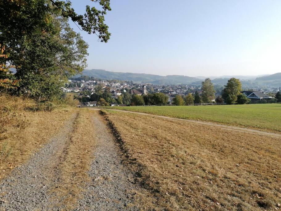 Sauerlandluft Apartment Balve Exterior photo